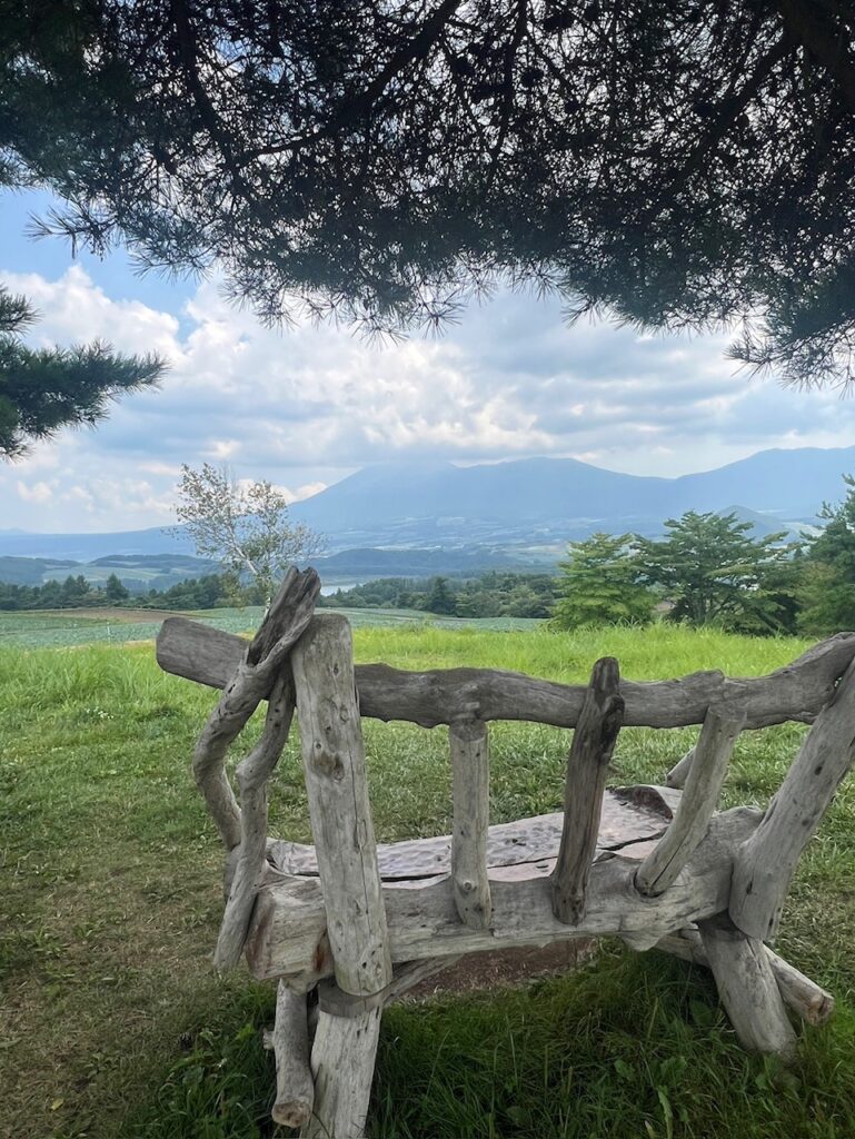 #8【 40代女子のロードバイク日記 】