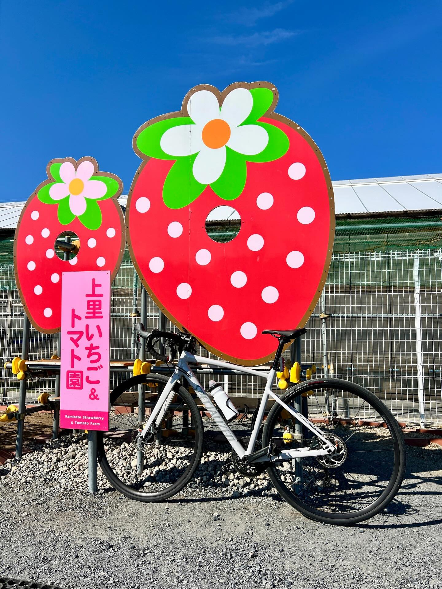 【40代女子のロードバイク日記# 24】