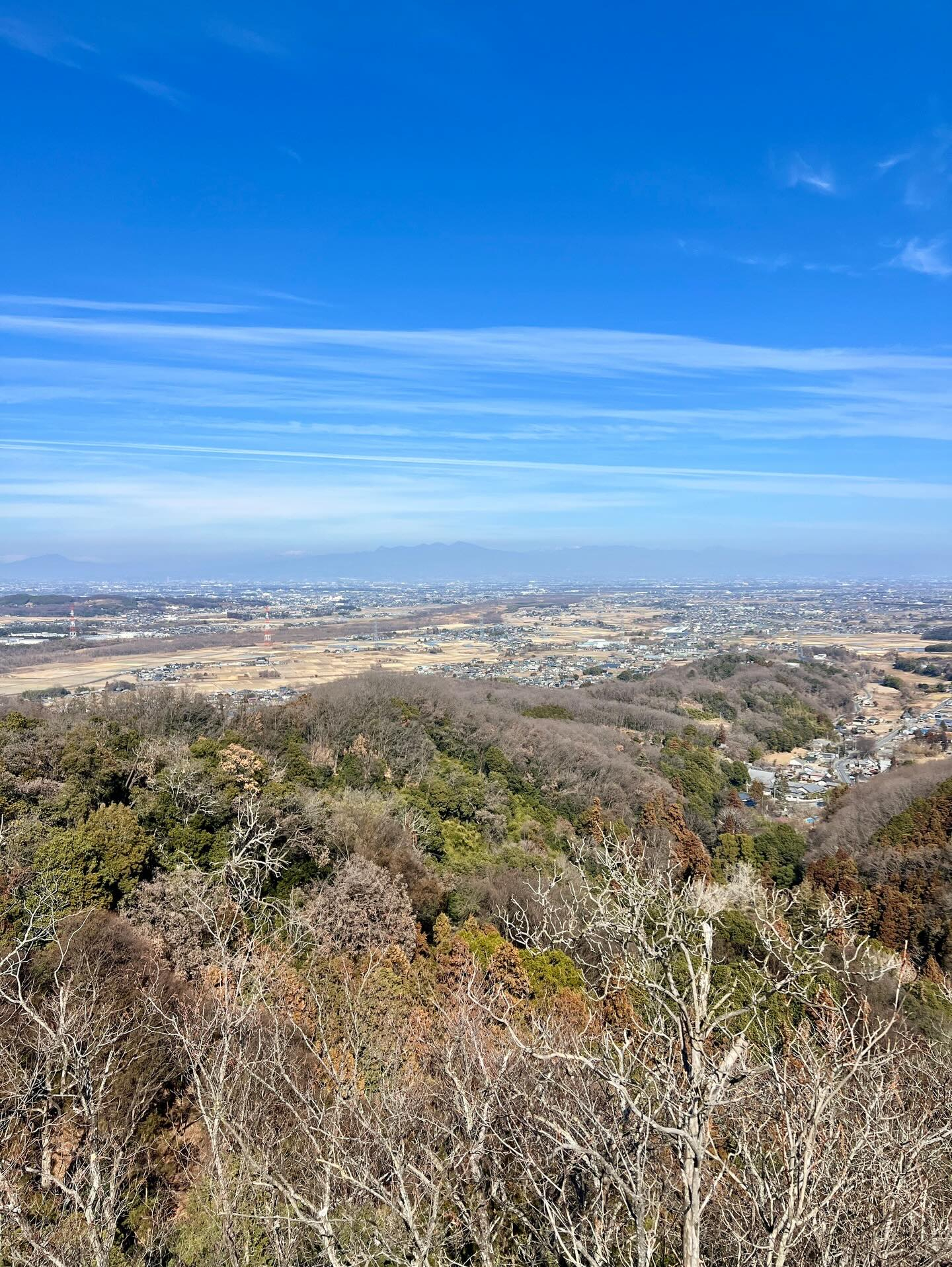 【40代女子のロードバイク日記# 24】
