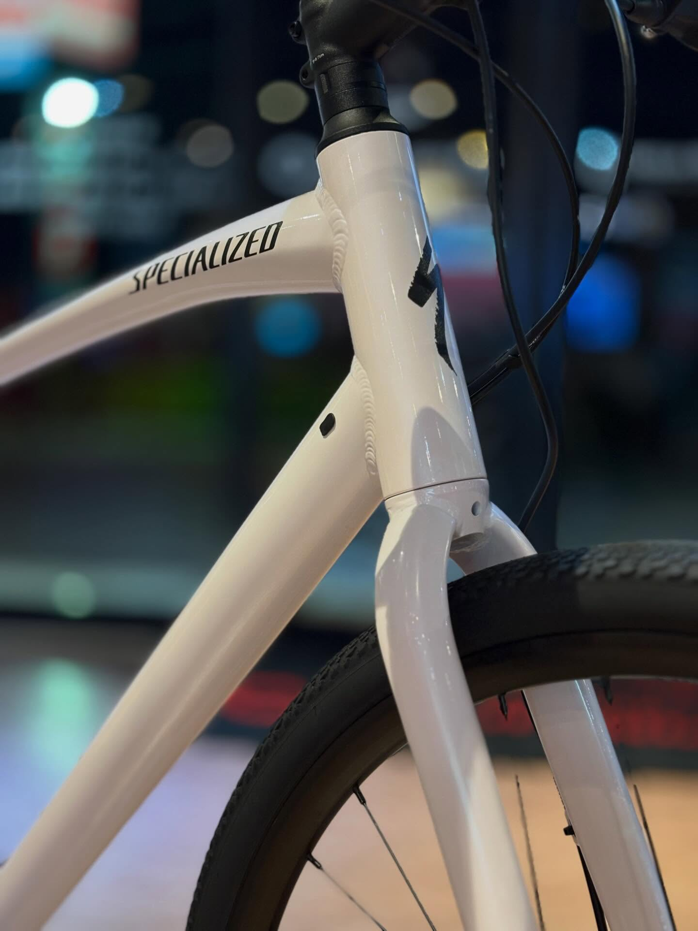 🔔新色入荷🔔