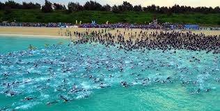 トライアスロンシーズン到来