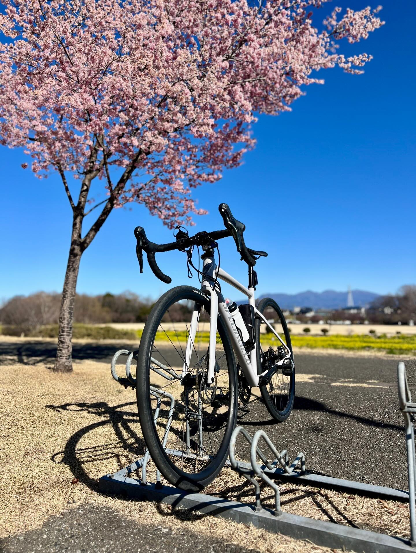 【40代女子のロードバイク日記 26】