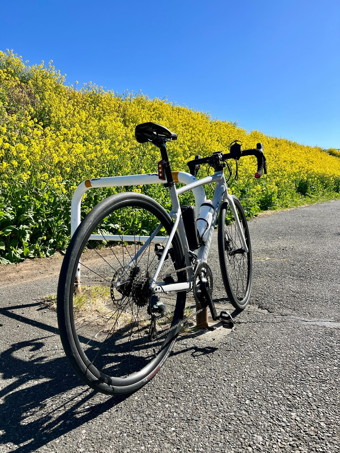 【40代女子のロードバイク日記 26】