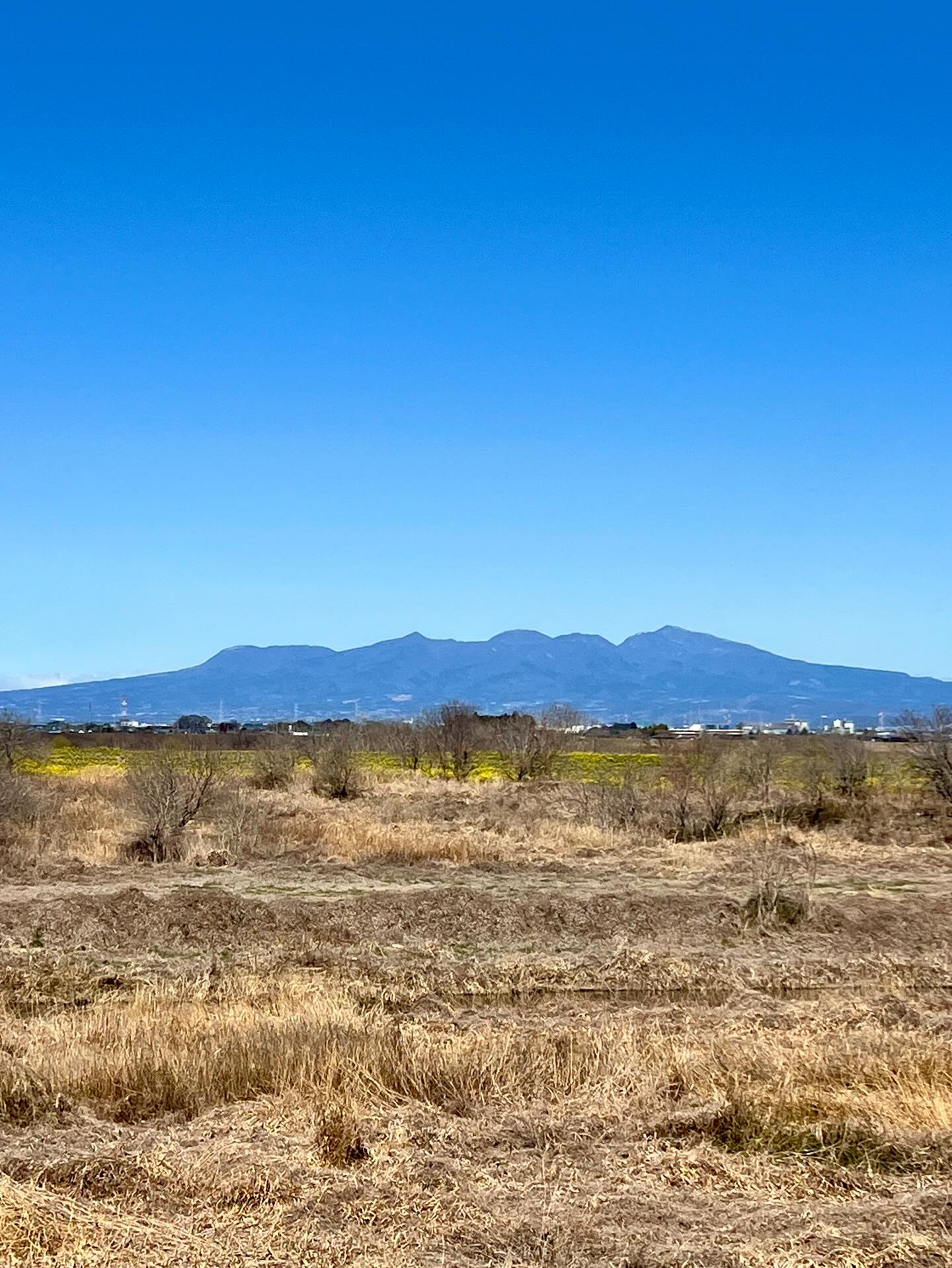 【40代女子のロードバイク日記 26】