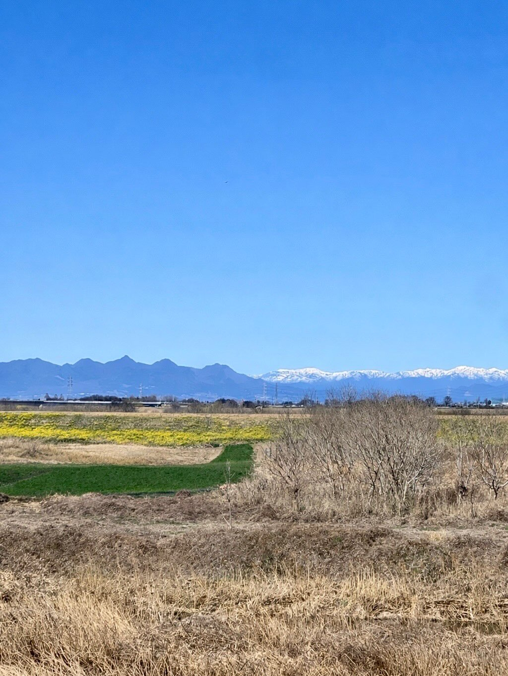 【40代女子のロードバイク日記 26】