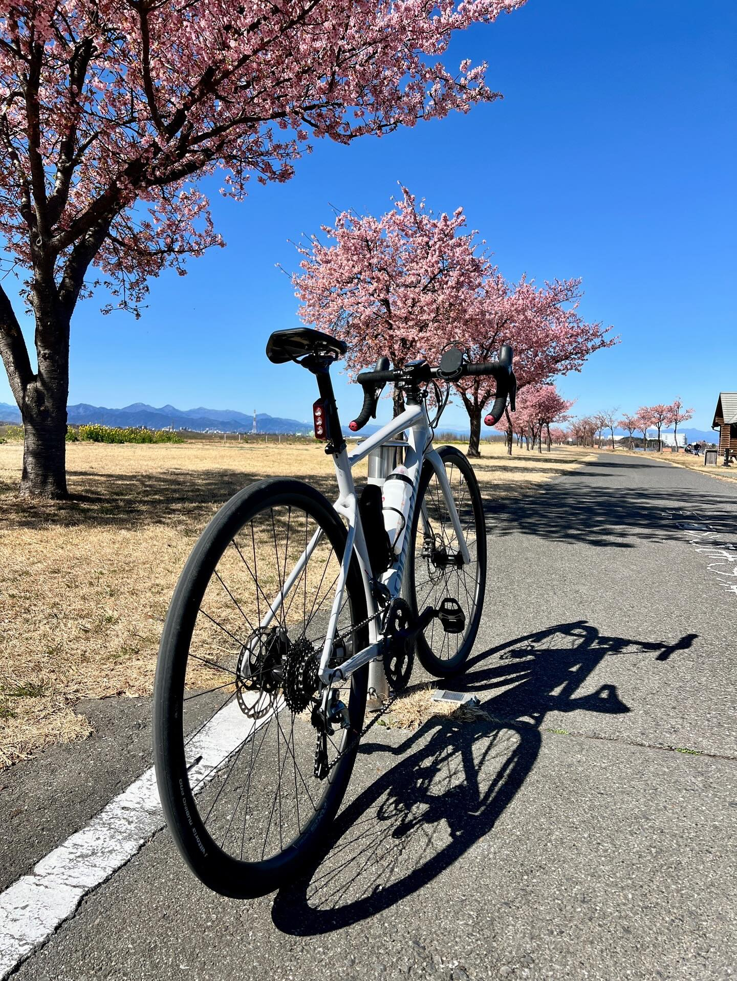 【40代女子のロードバイク日記 26】