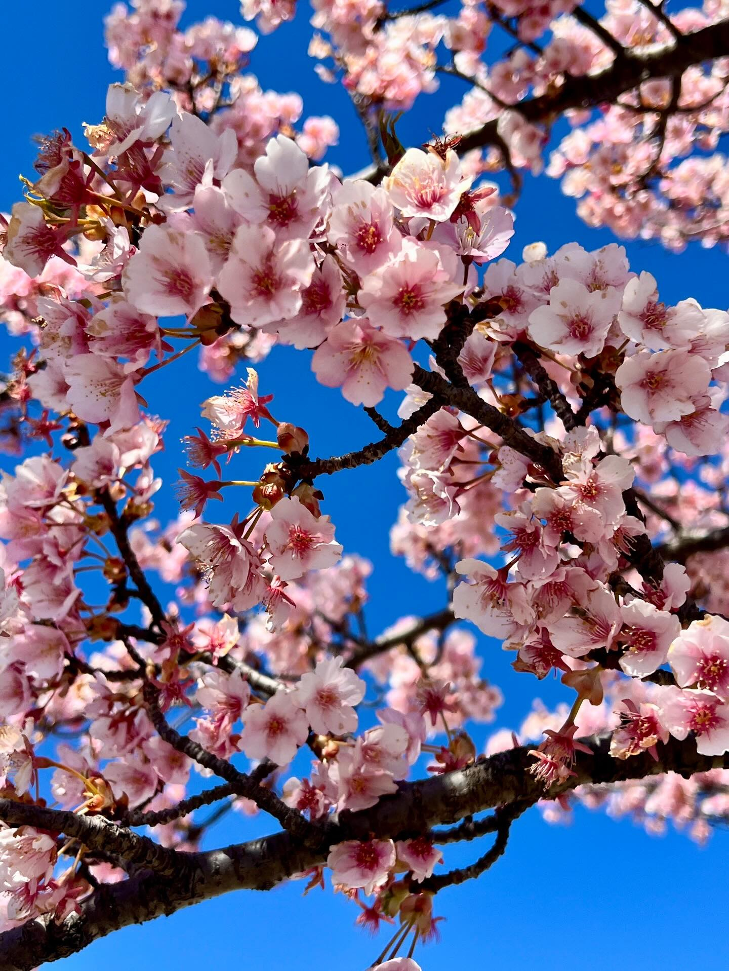 【40代女子のロードバイク日記 26】