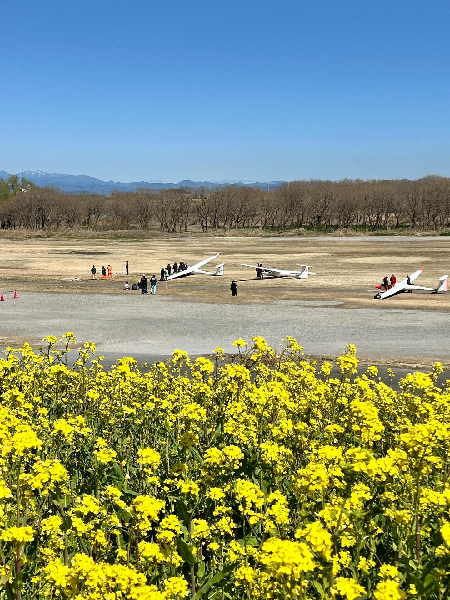 【40代女子のロードバイク日記 26】