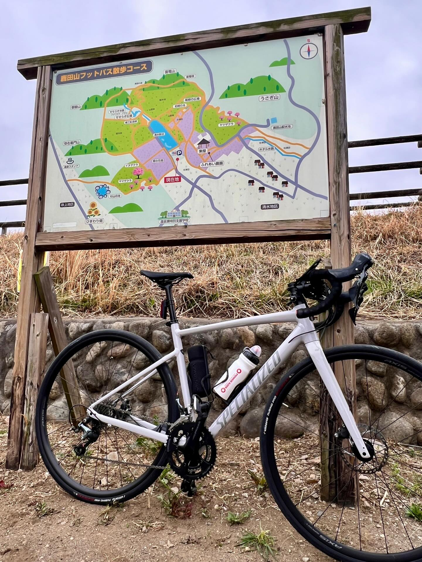 【40代女子のロードバイク日記 27】