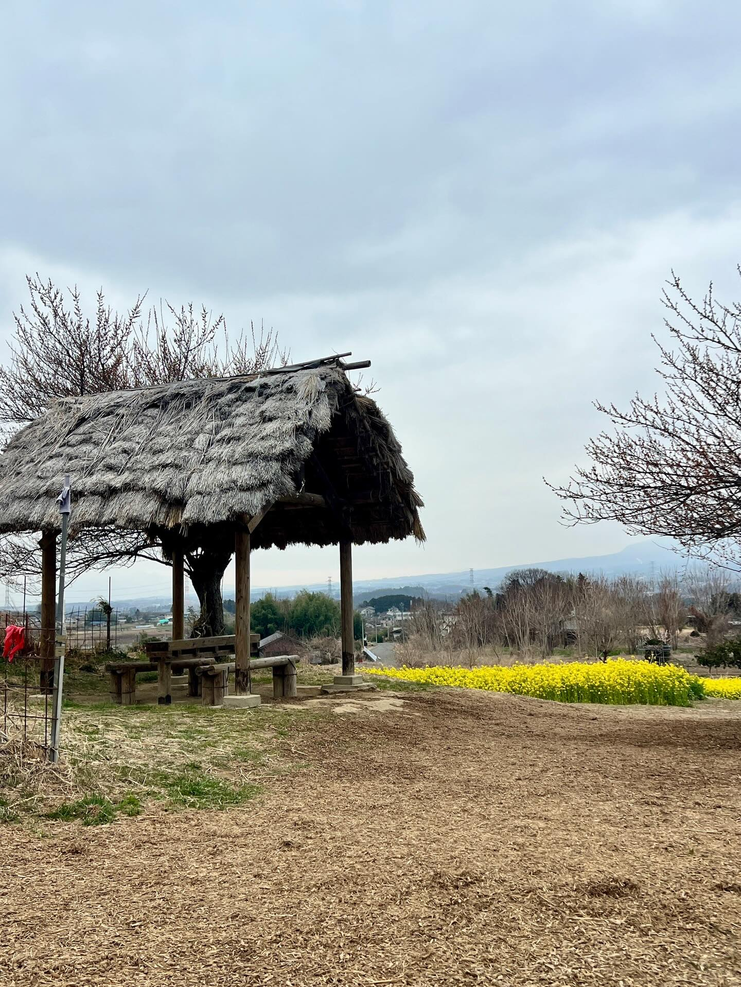 【40代女子のロードバイク日記 27】