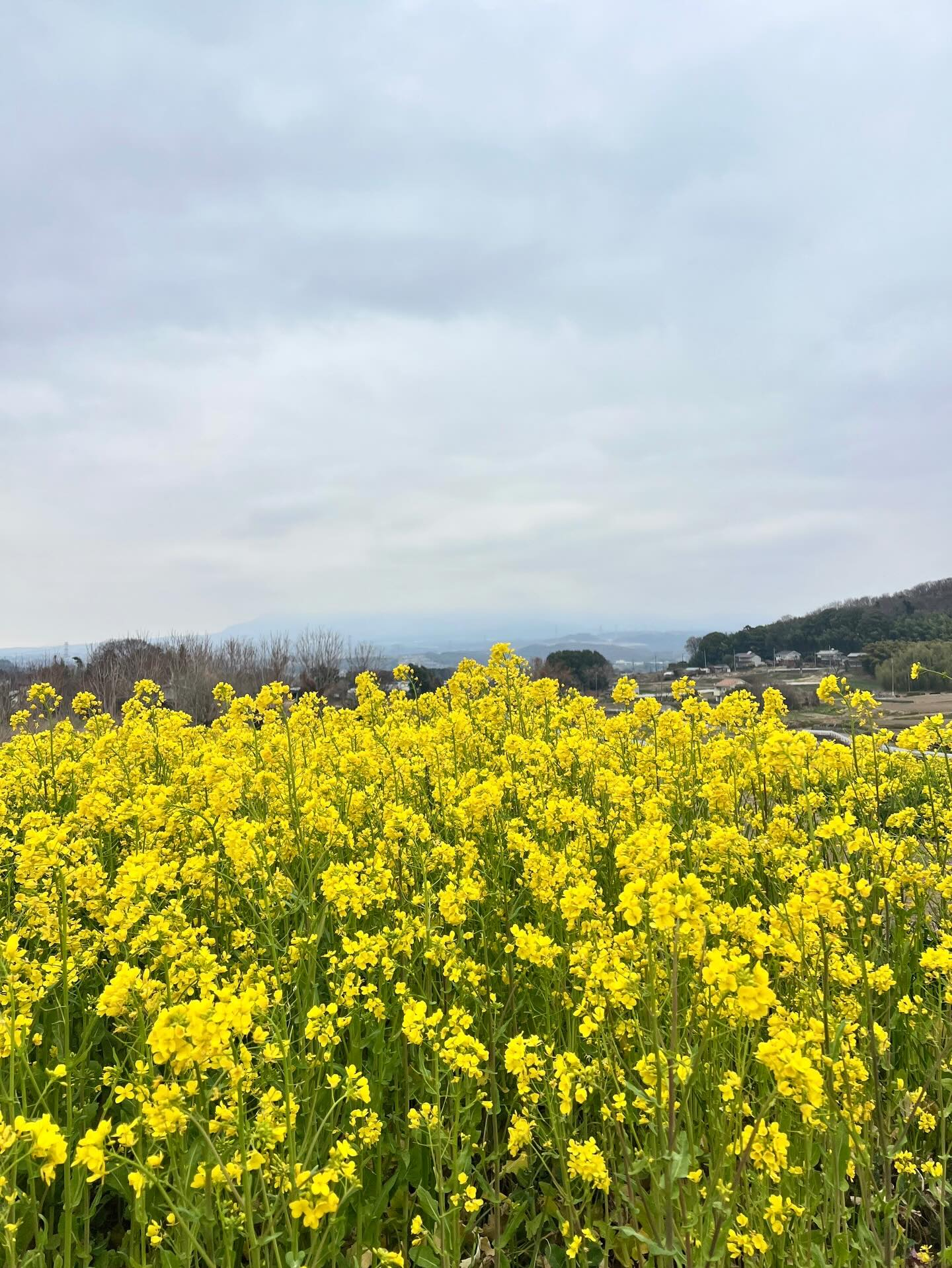 【40代女子のロードバイク日記 27】