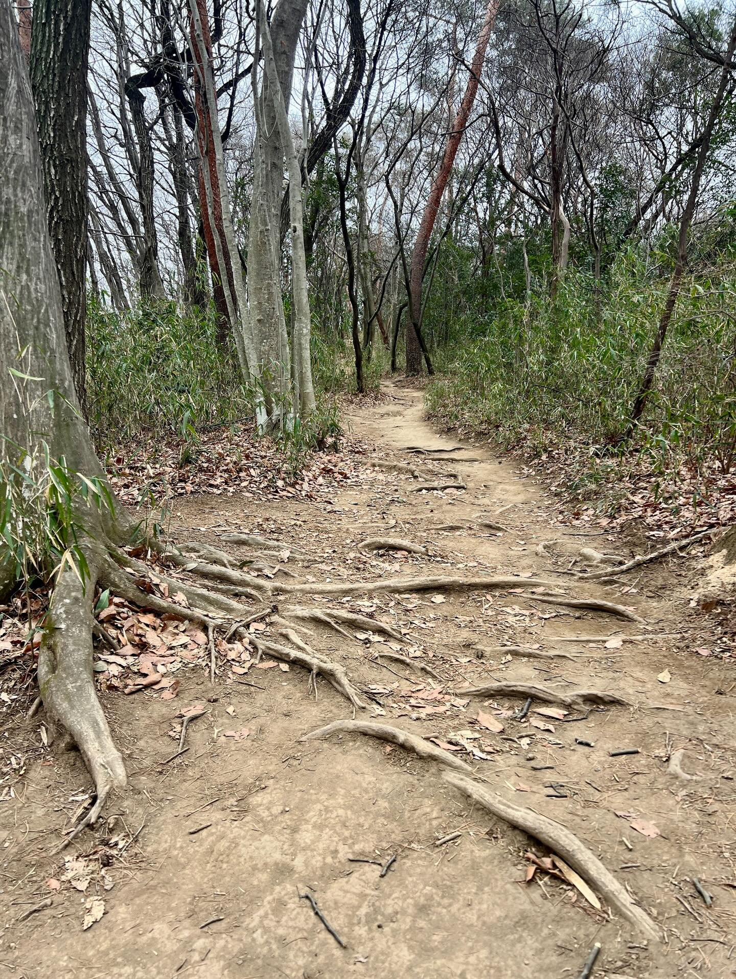 【40代女子のロードバイク日記 27】