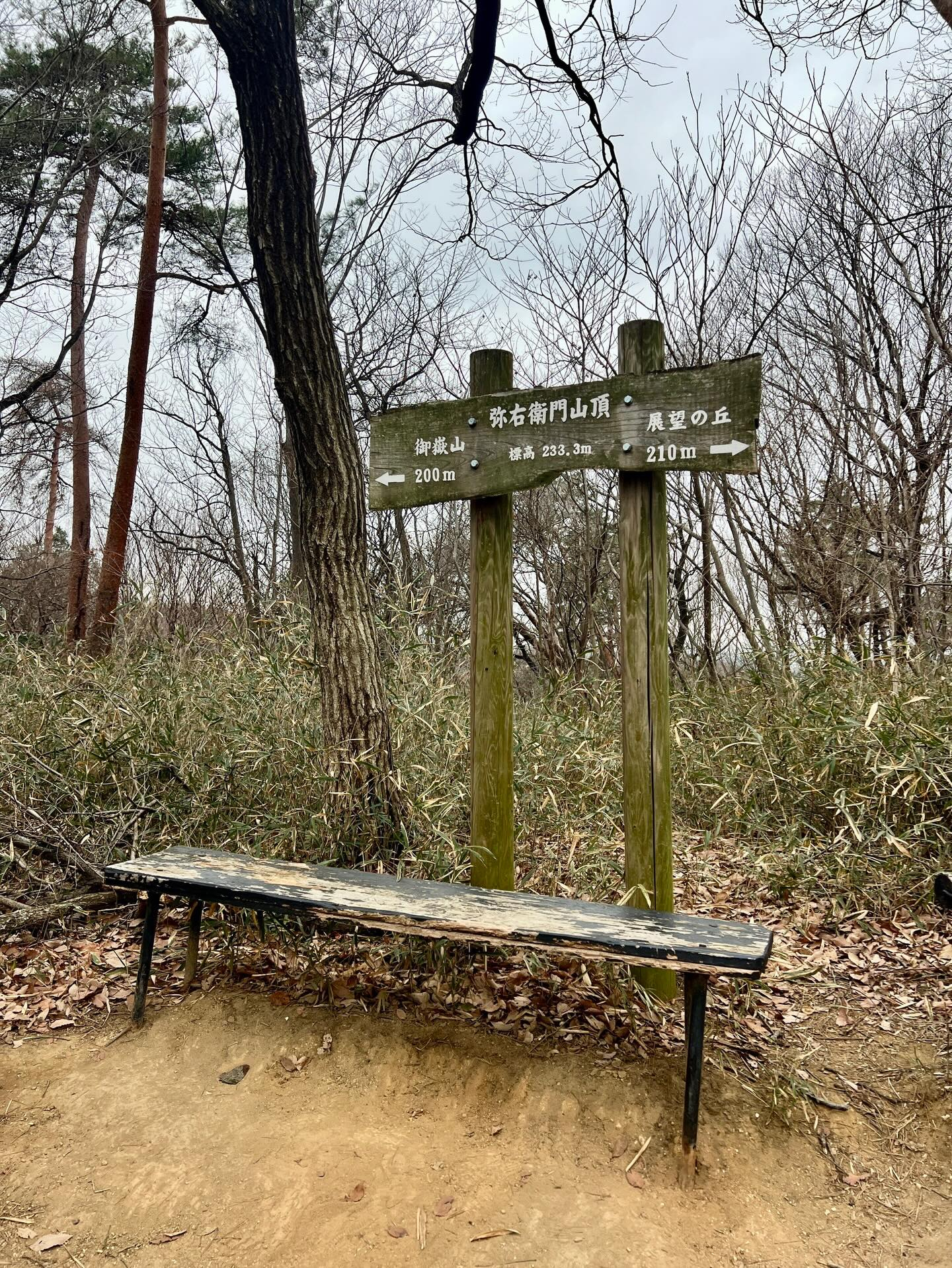 【40代女子のロードバイク日記 27】