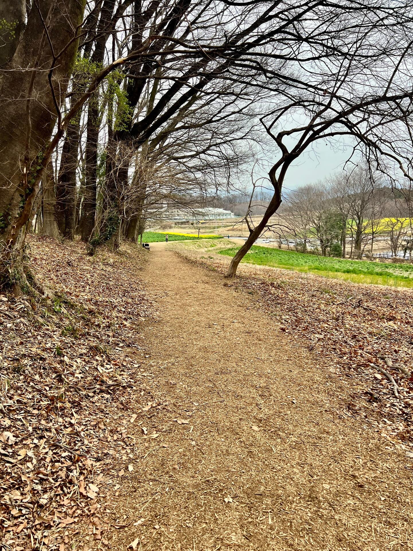 【40代女子のロードバイク日記 27】