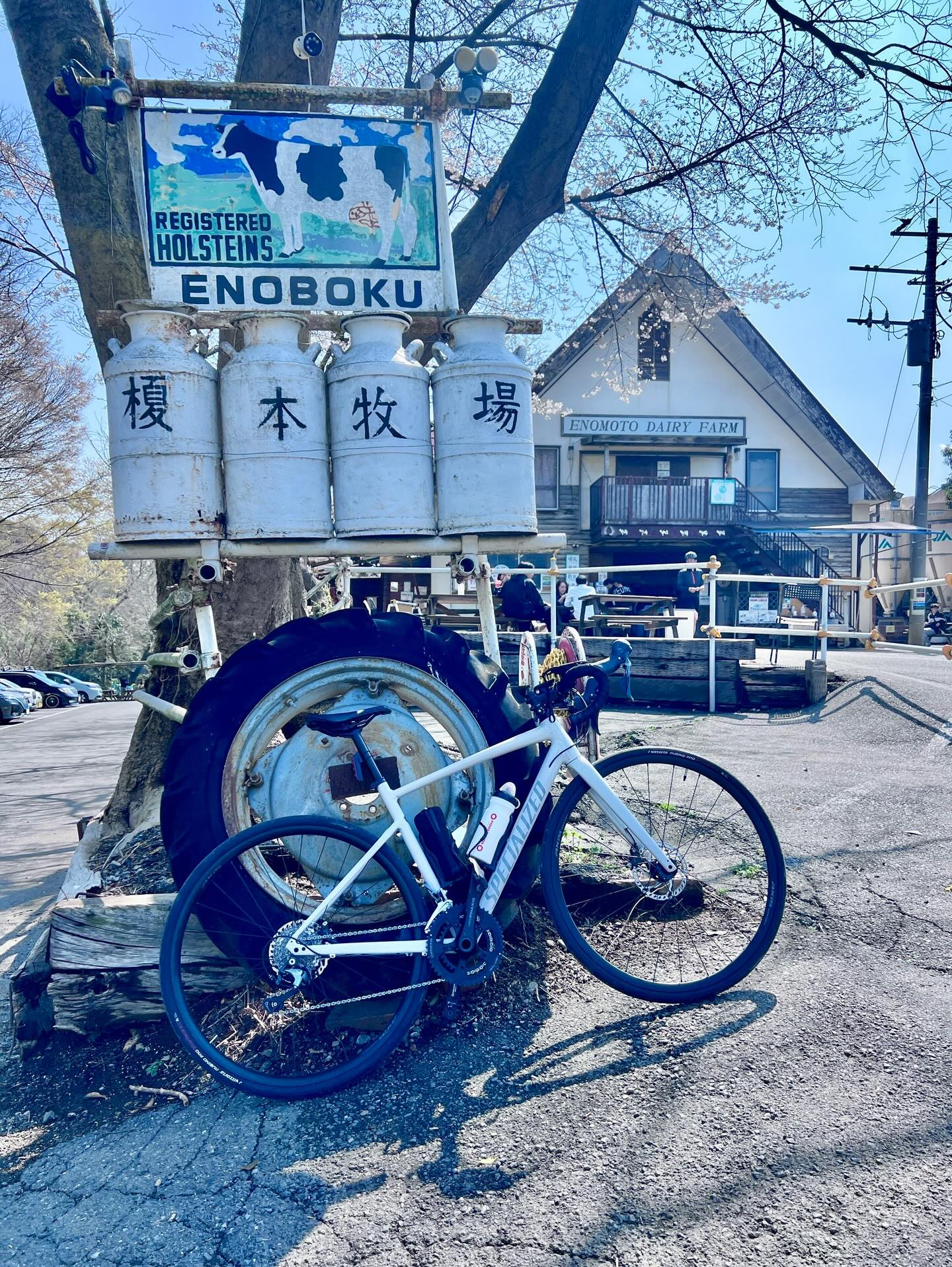 【40代女子のロードバイク日記　28】