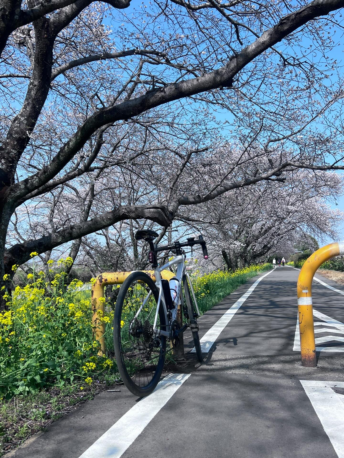 【40代女子のロードバイク日記　28】