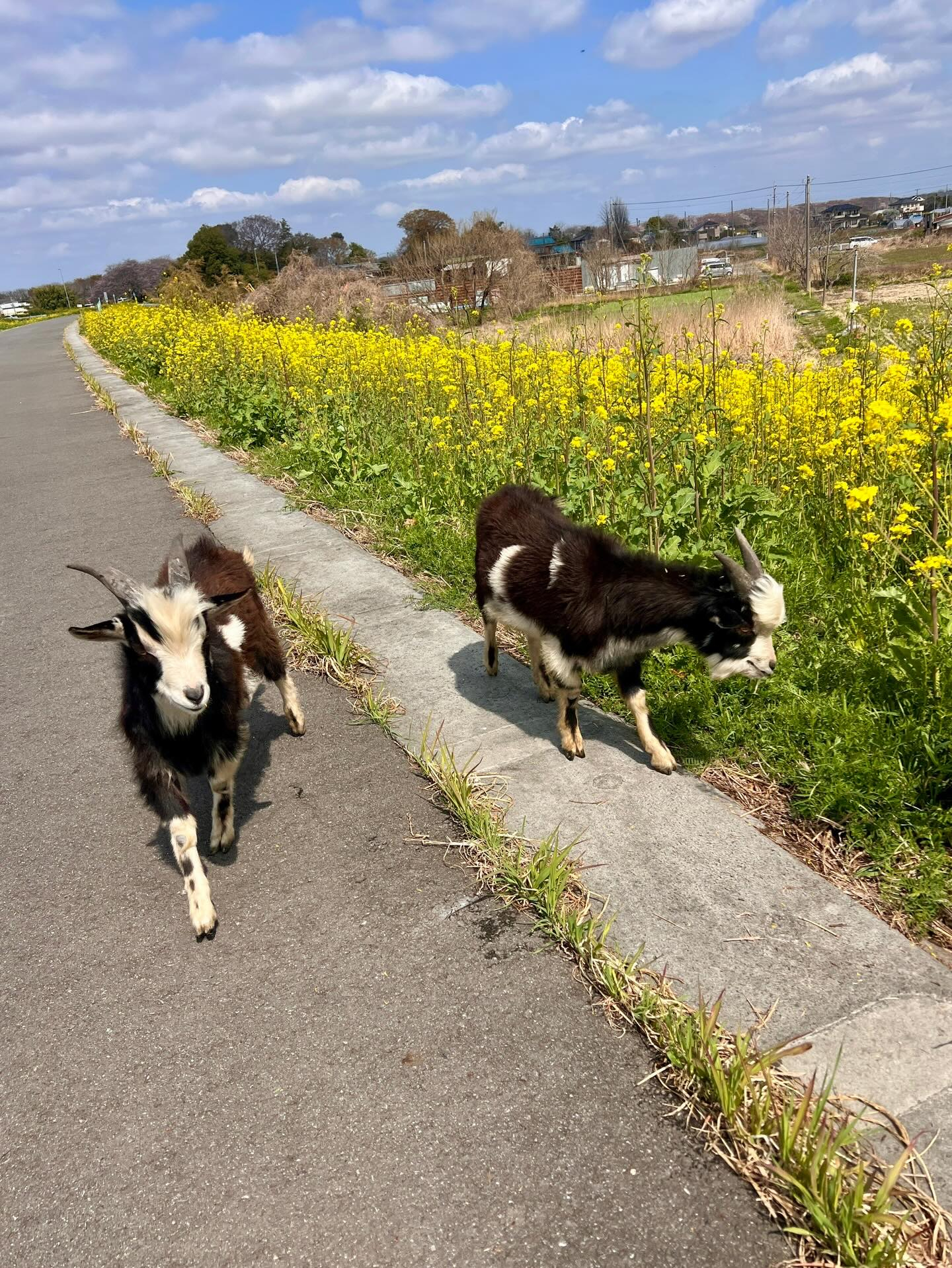【40代女子のロードバイク日記　28】