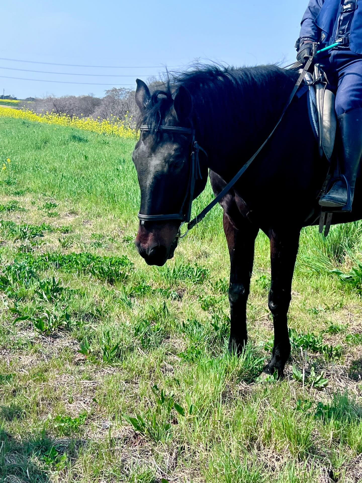 【40代女子のロードバイク日記　28】