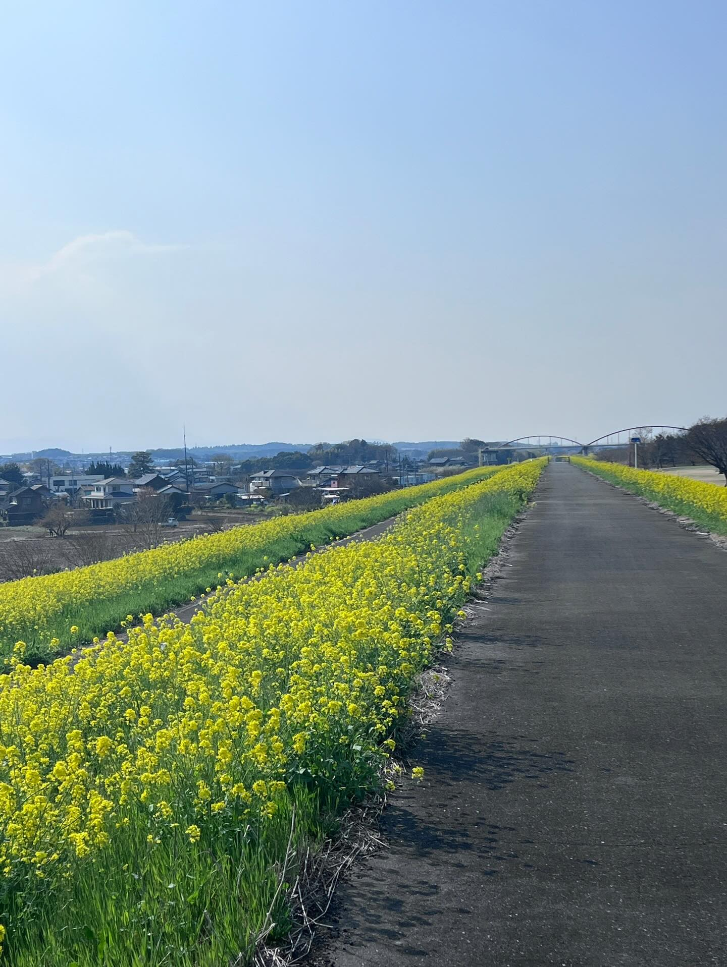【40代女子のロードバイク日記　28】