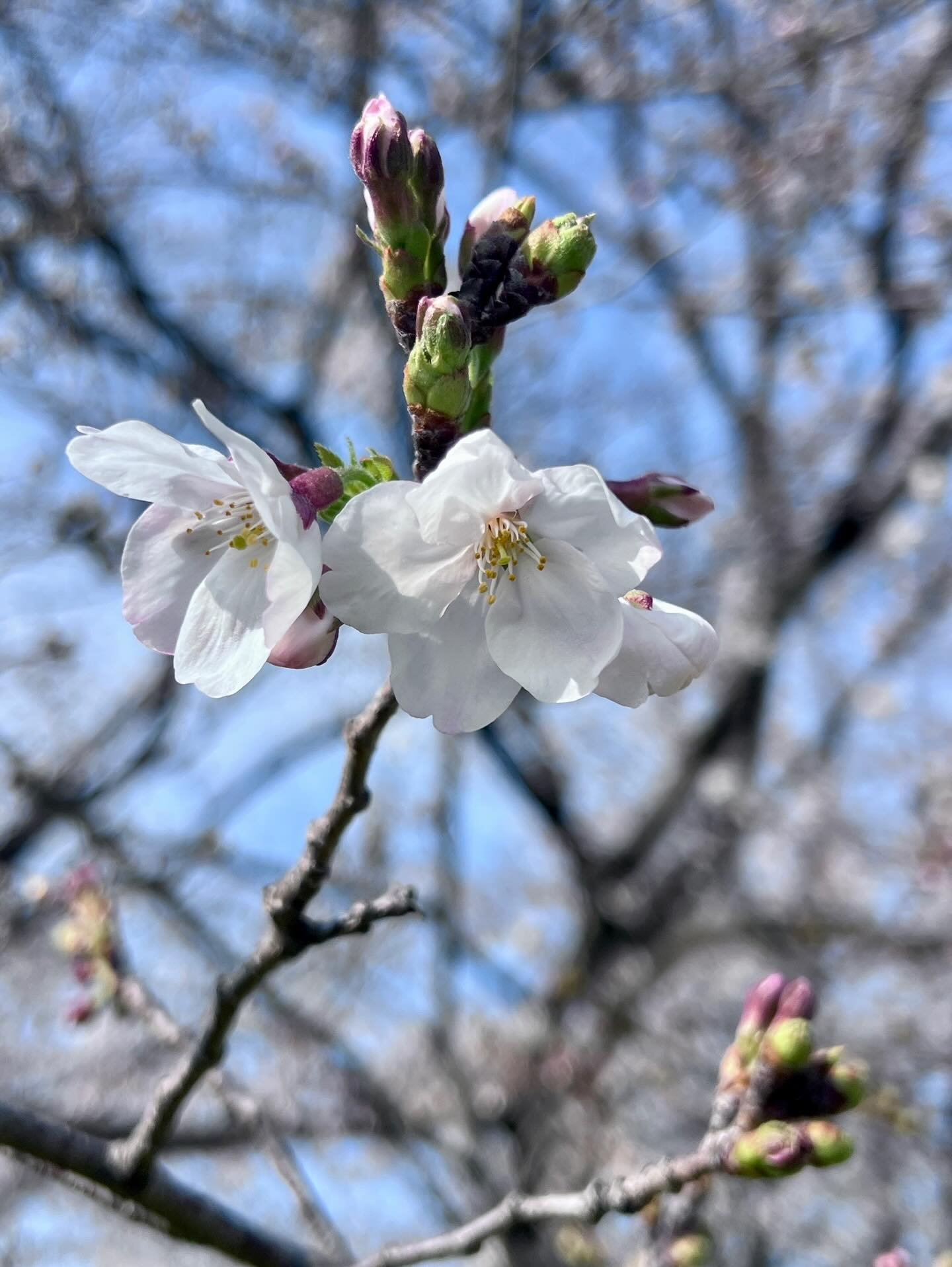 【40代女子のロードバイク日記　28】