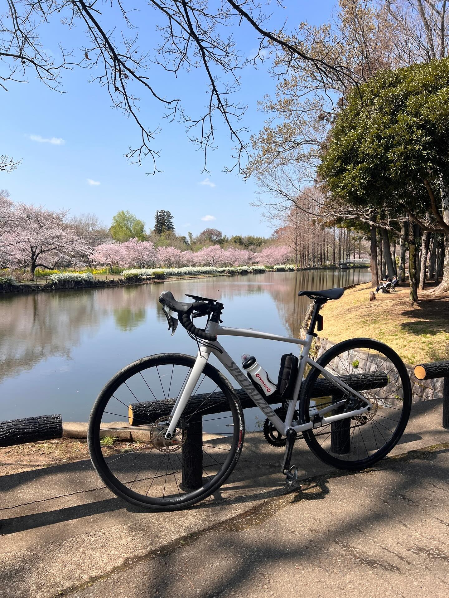 【40代女子のロードバイク日記　28】