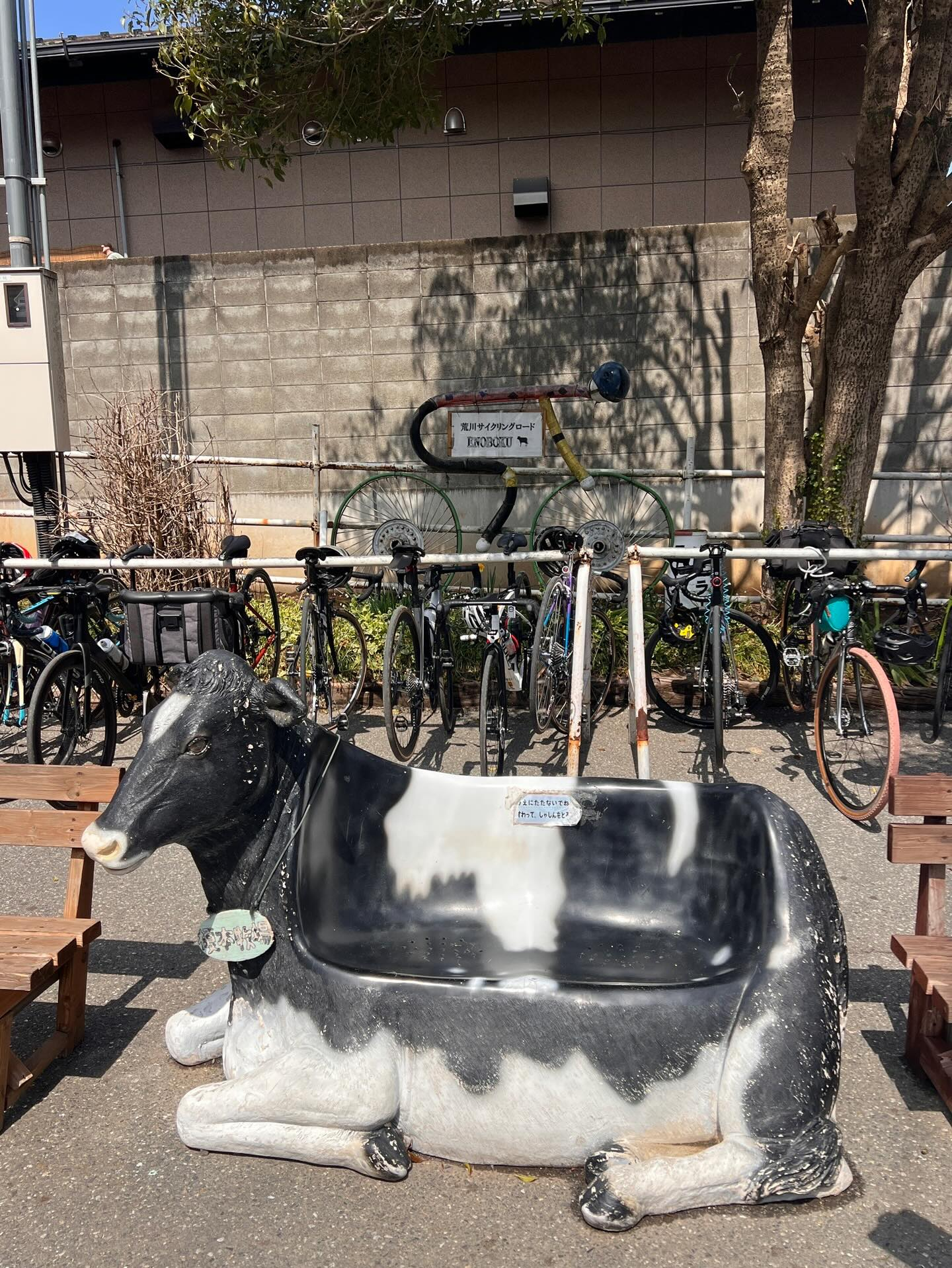 【40代女子のロードバイク日記　28】