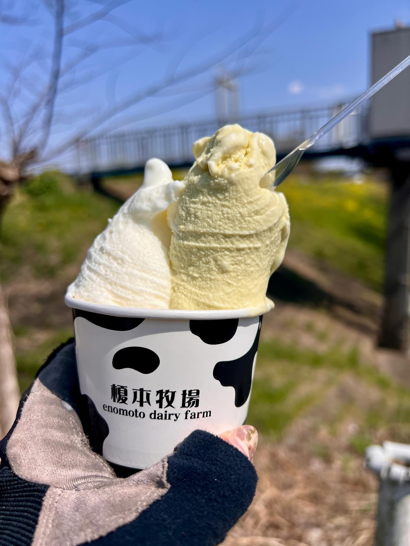 【40代女子のロードバイク日記　28】