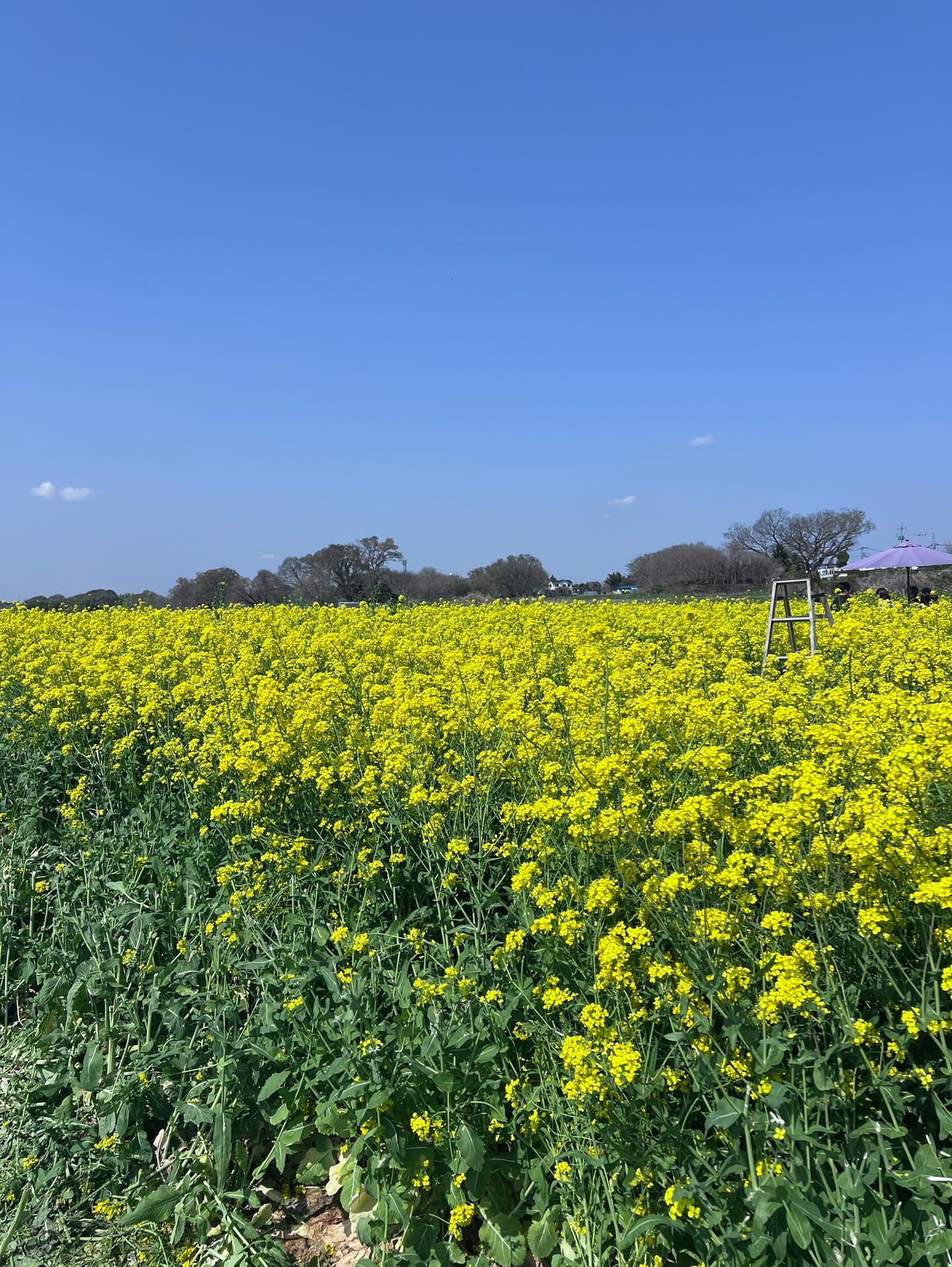 【40代女子のロードバイク日記　28】
