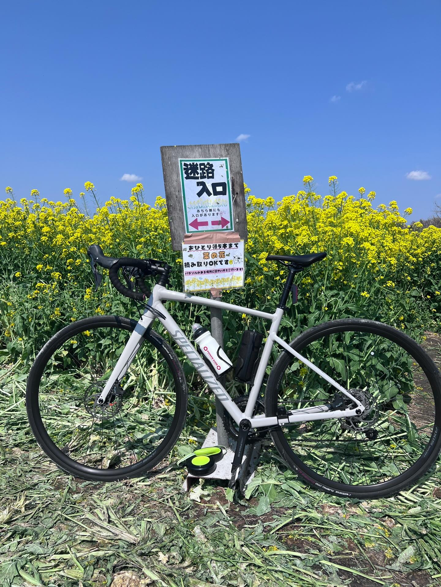 【40代女子のロードバイク日記　28】