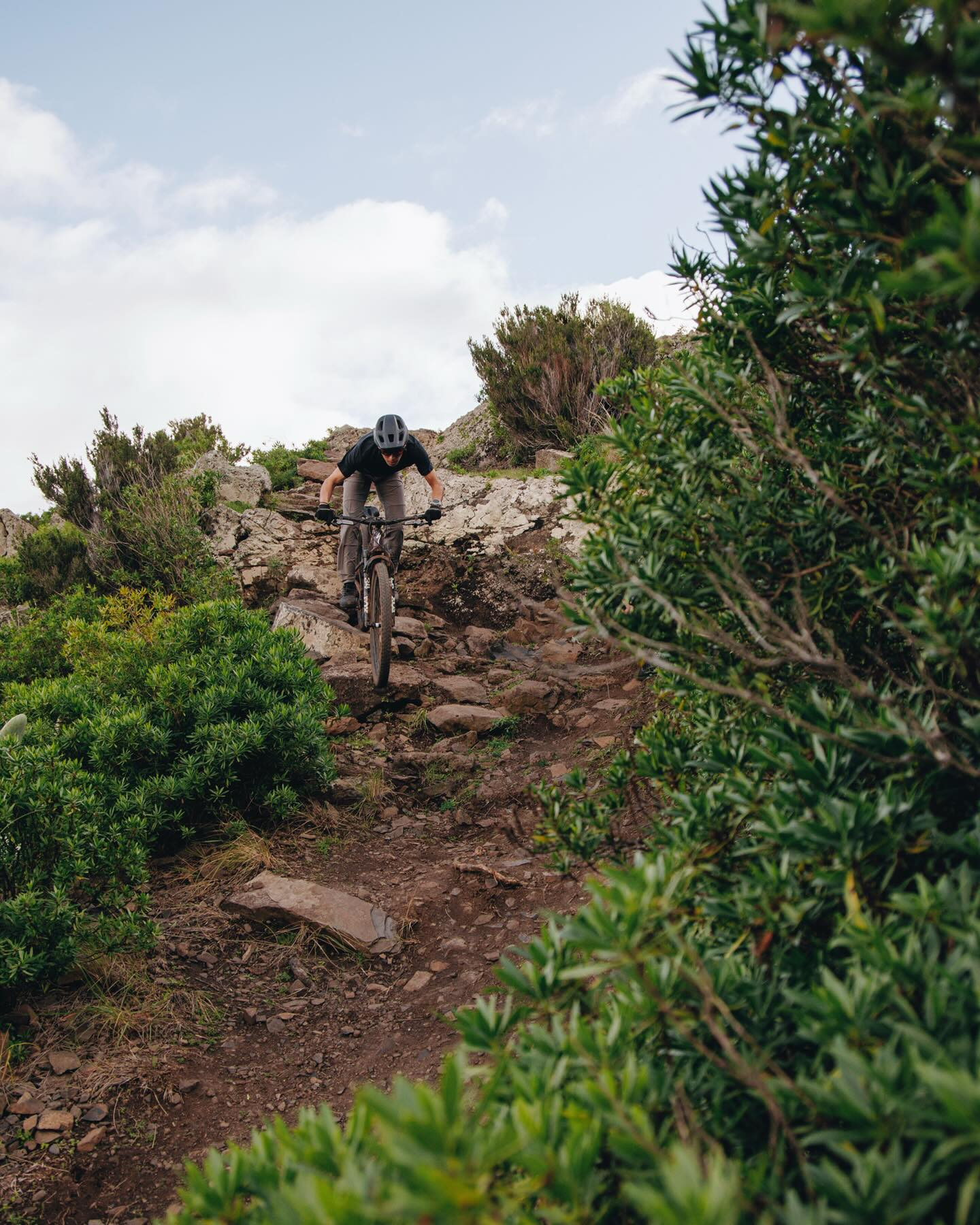 Butcher & Eliminator Grid Grav...