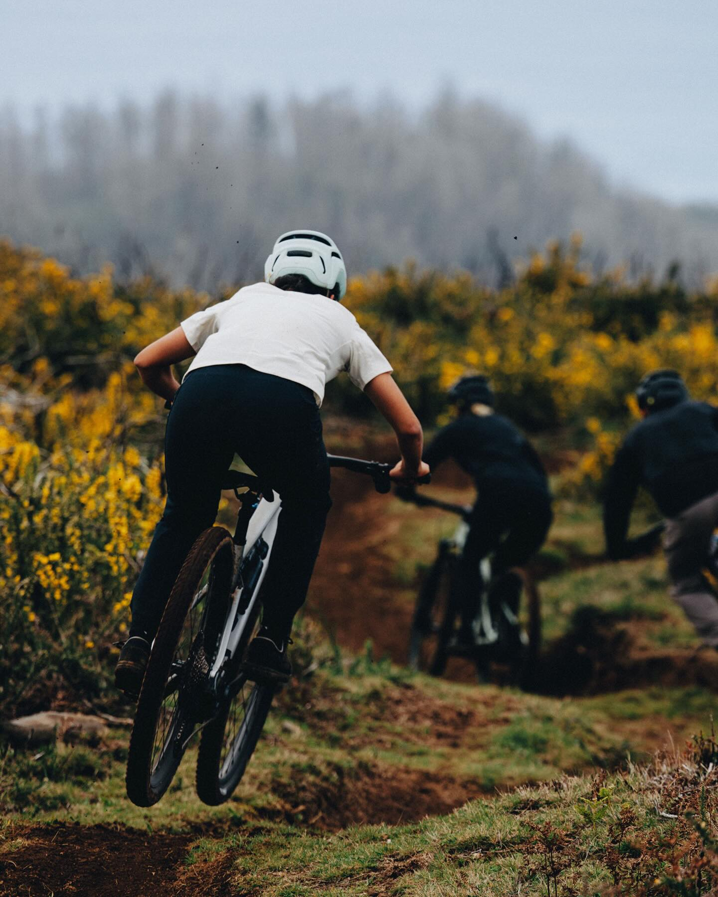 Butcher & Eliminator Grid Grav...