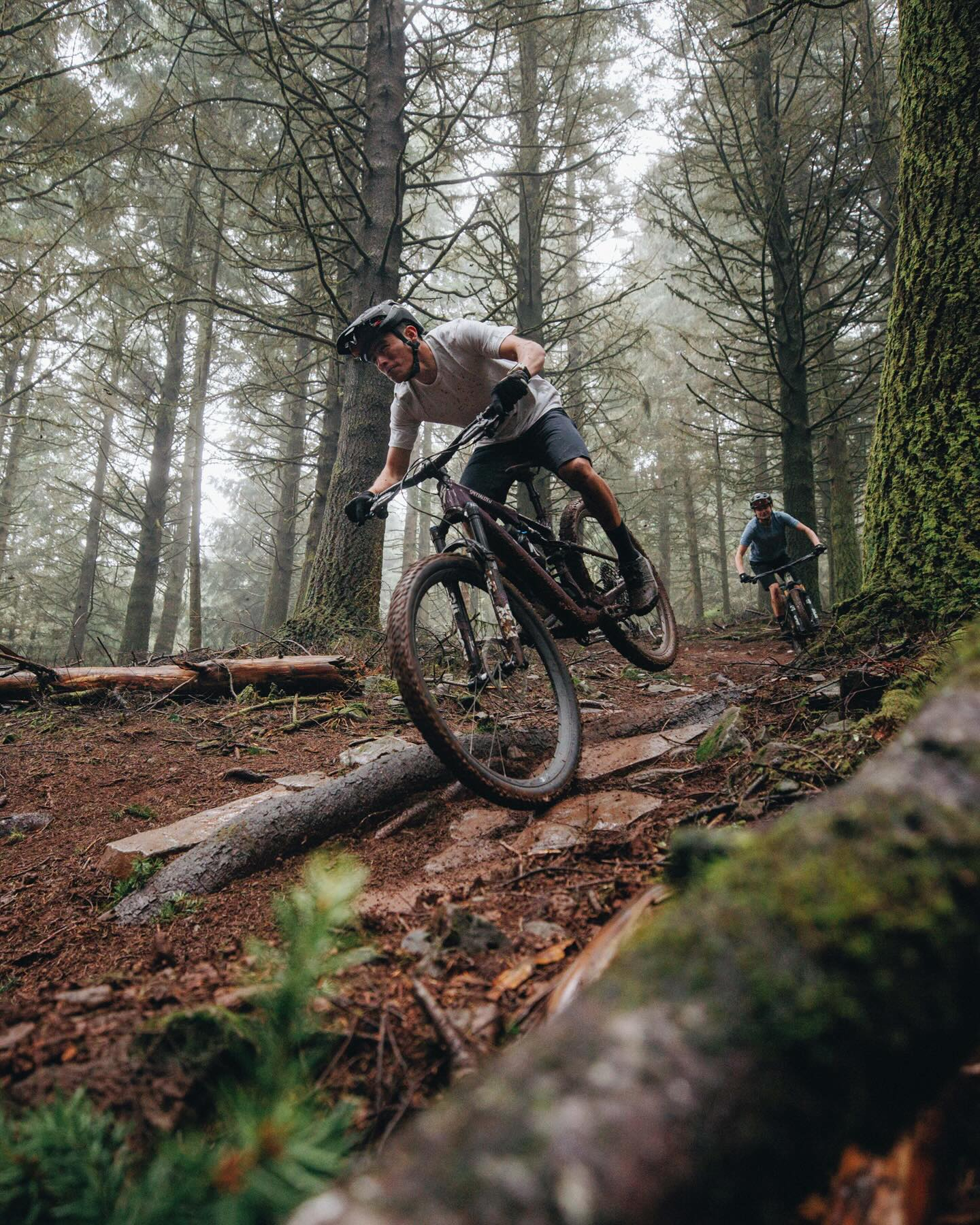 Butcher & Eliminator Grid Grav...