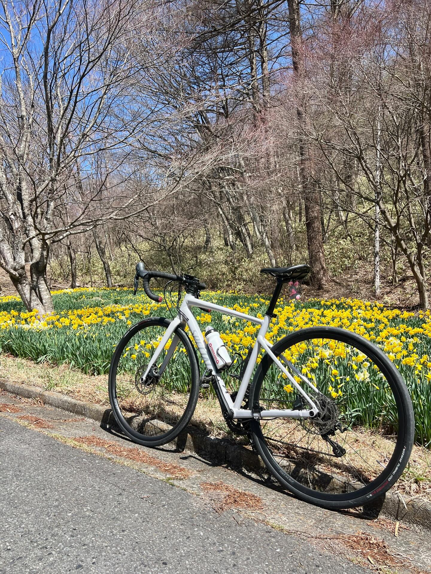 【40代女子のロードバイク日記 29 】 