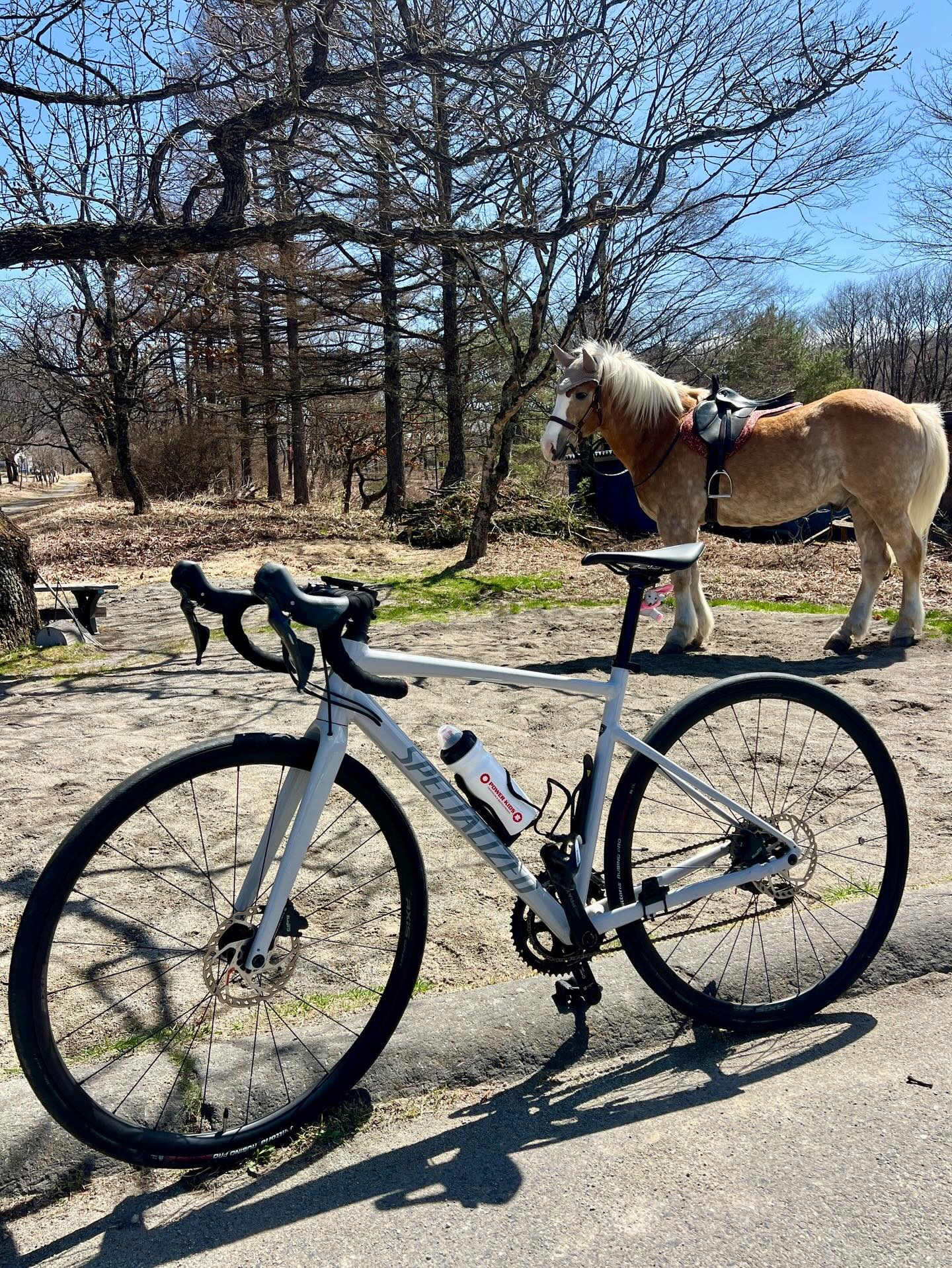 【40代女子のロードバイク日記 29 】 