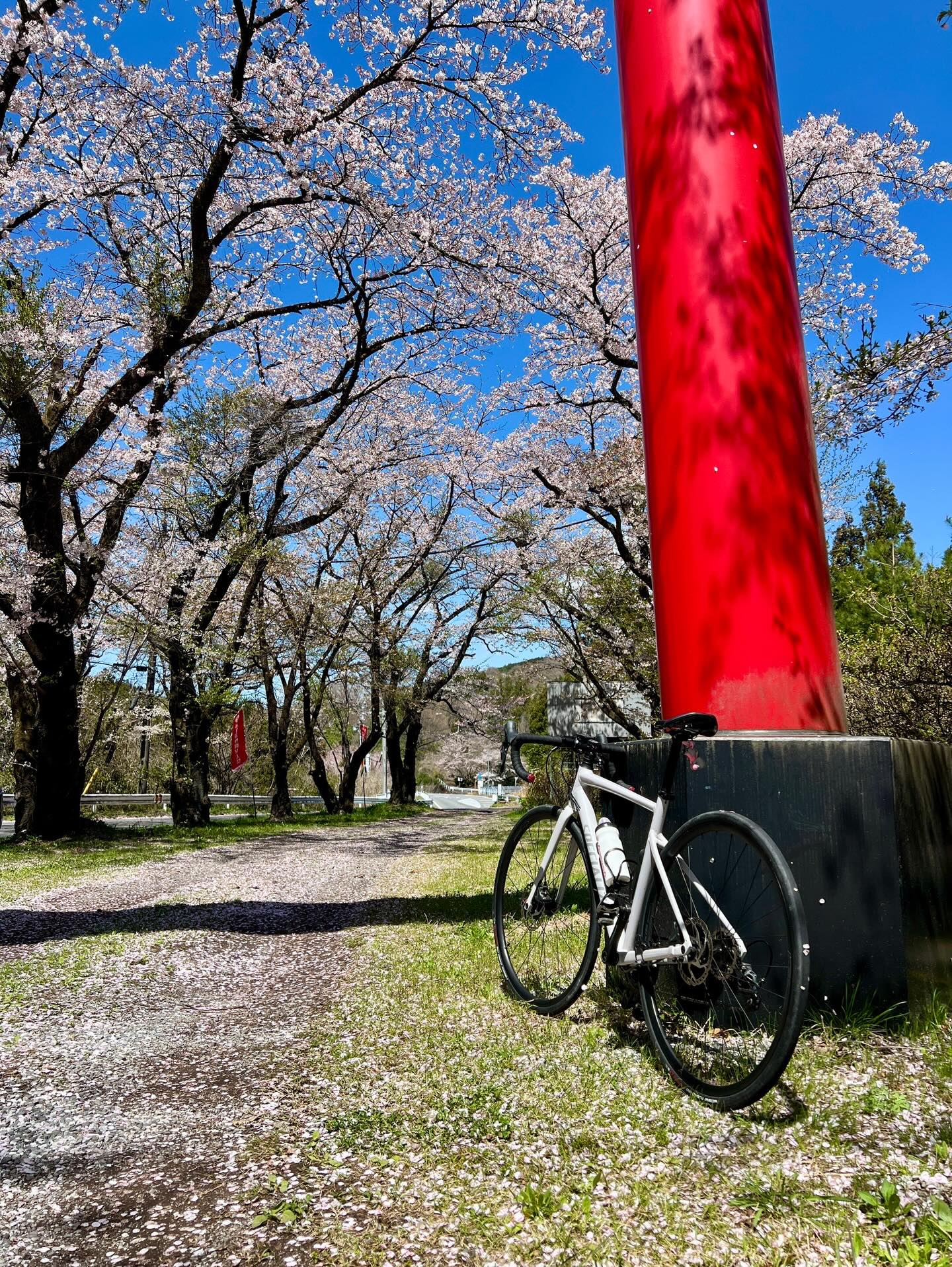 【40代女子のロードバイク日記 29 】 
