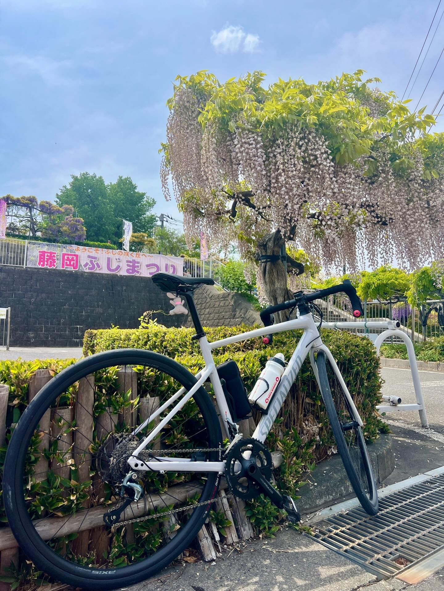 【40代女子のロードバイク日記 30】