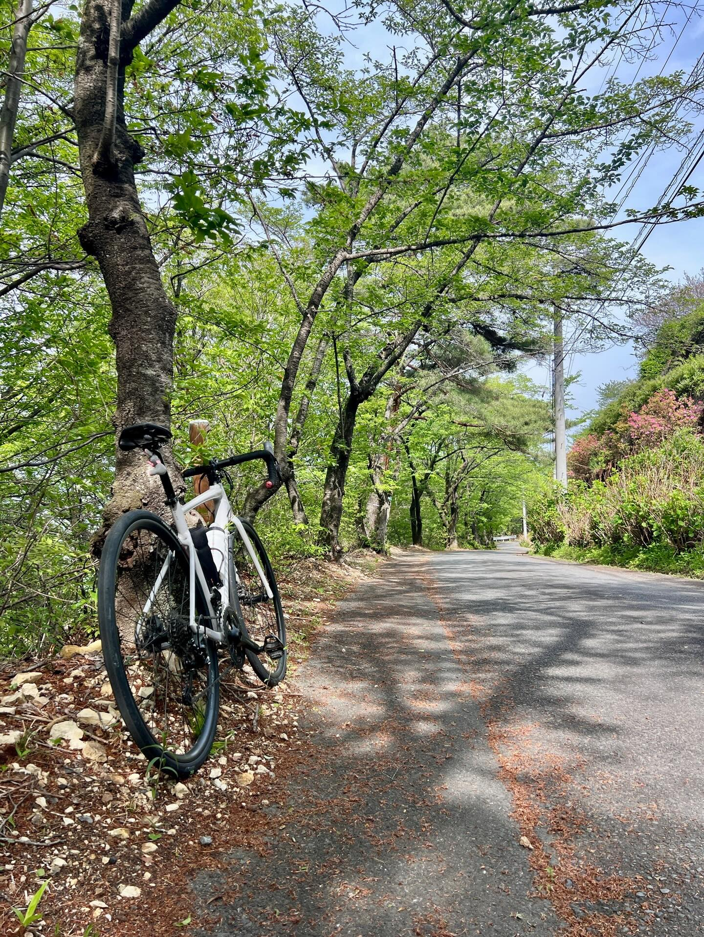 【40代女子のロードバイク日記 30】