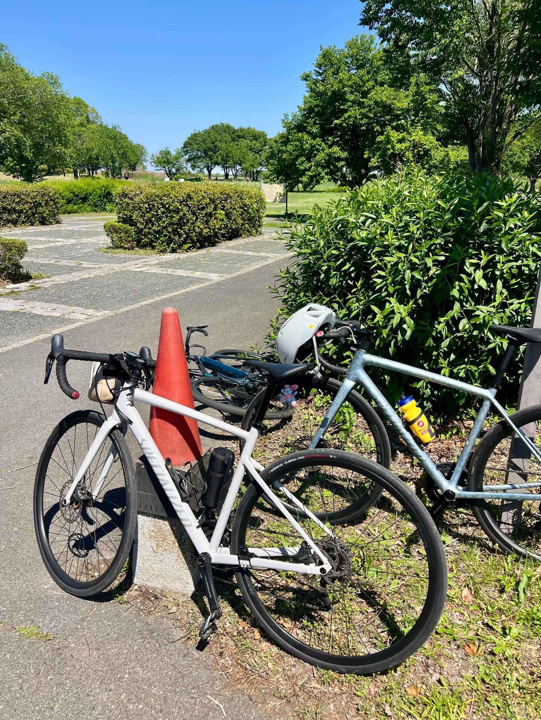 【40代女子のロードバイク日記 31 】
