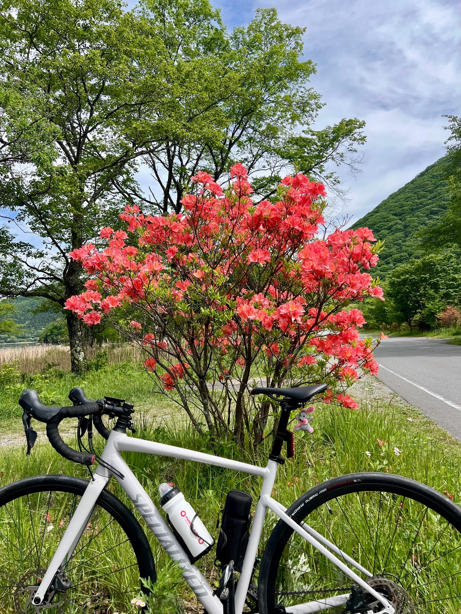 【40代女子のロードバイク日記33】
