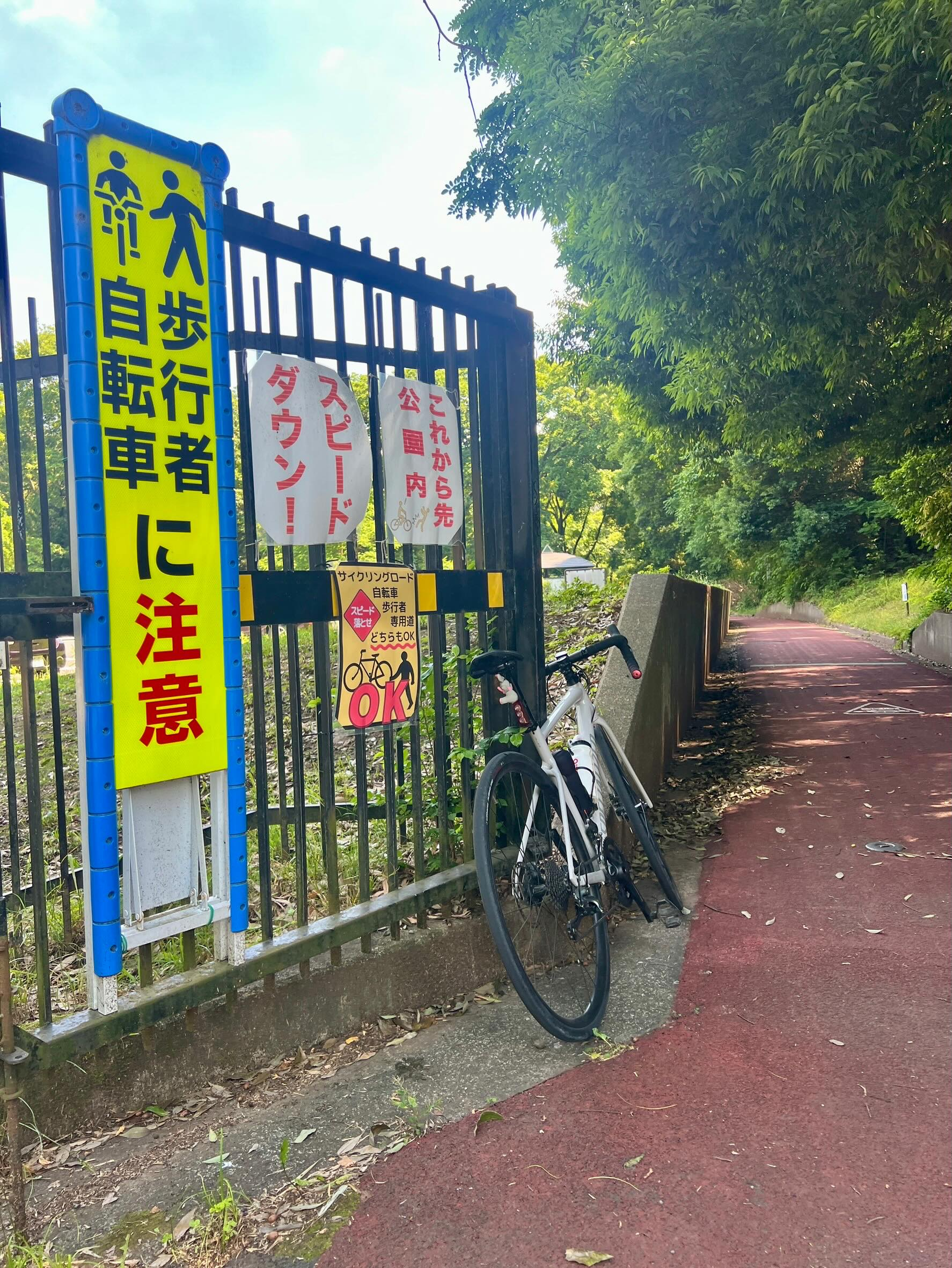 【40代女子のロードバイク日記　34】