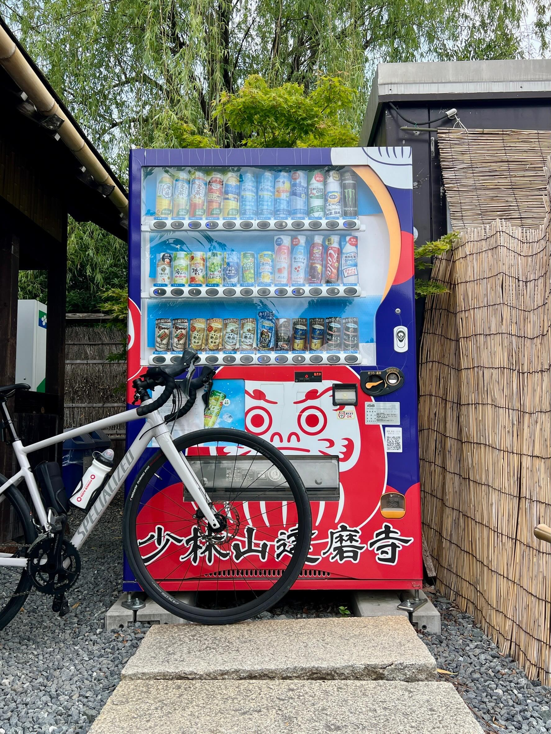 【40代女子のロードバイク日記　34】
