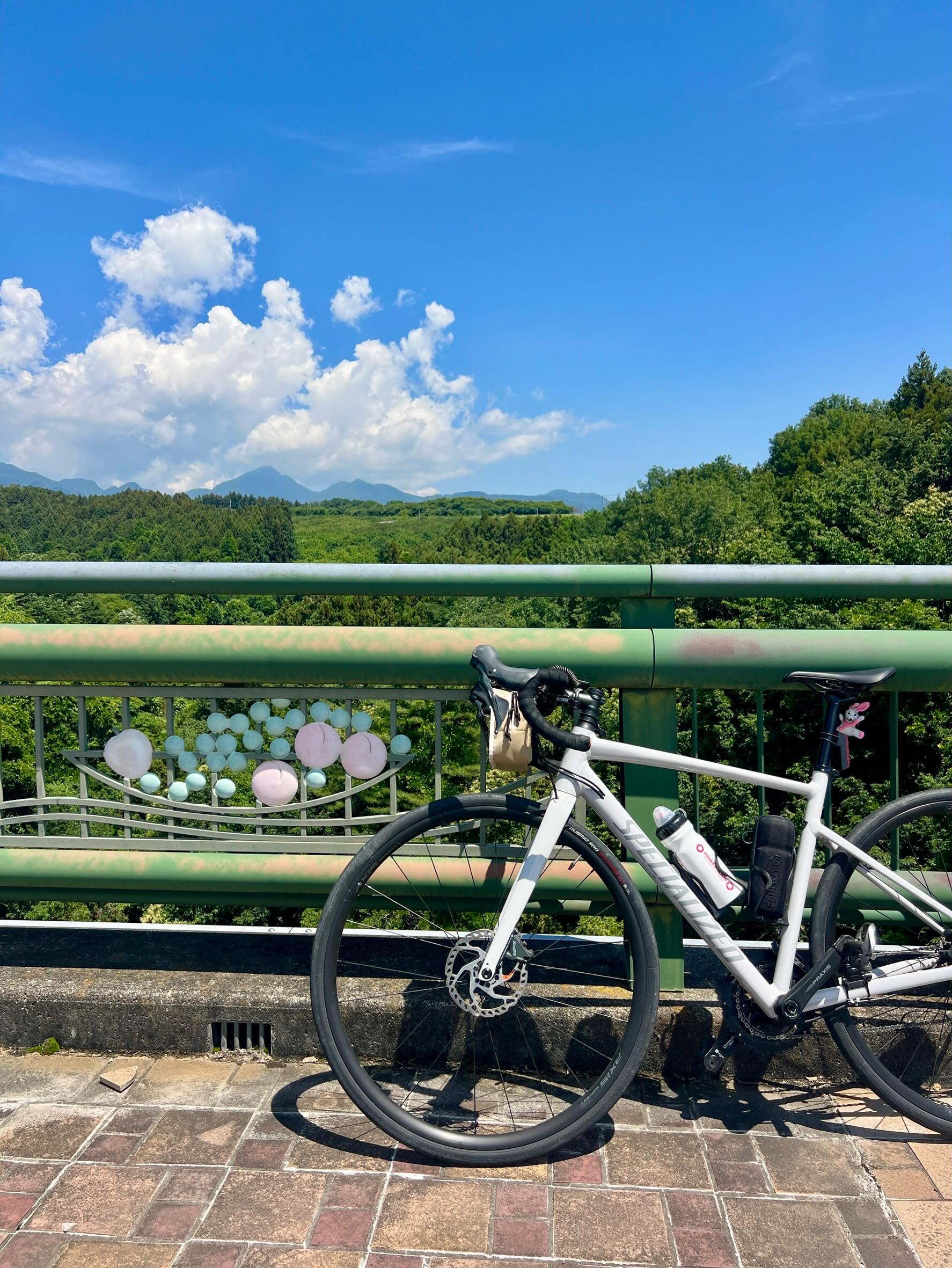 【 40代女子のロードバイク日記 35 】