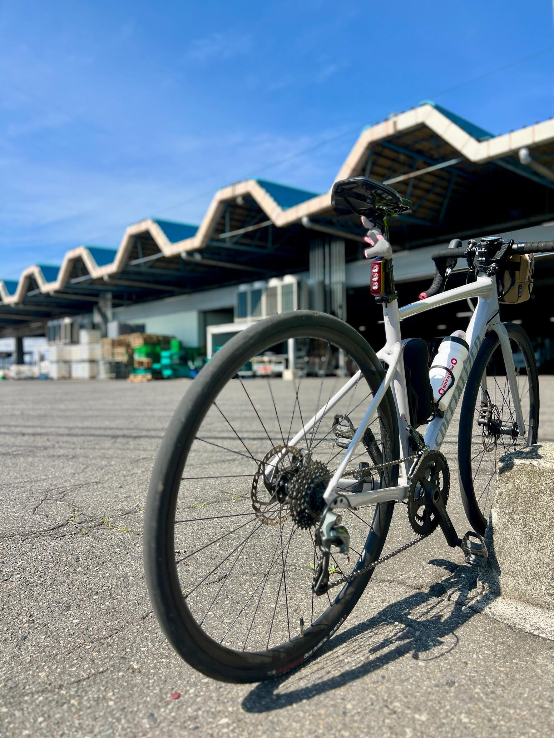 【 40代女子のロードバイク日記 35 】