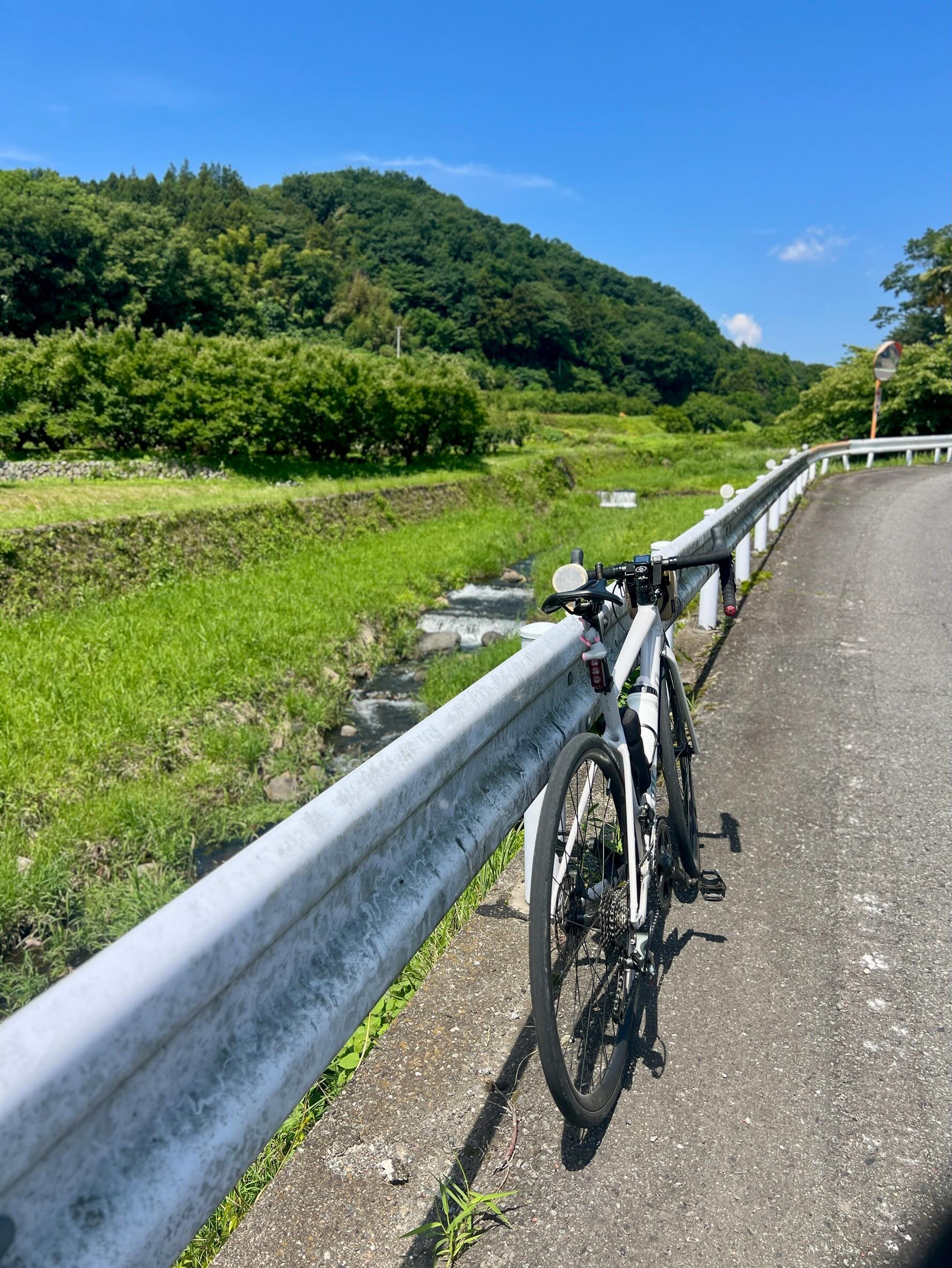 【 40代女子のロードバイク日記 35 】
