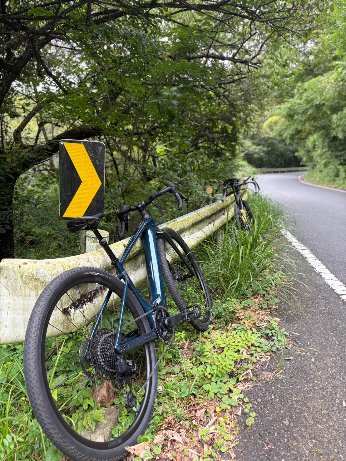 【40代女子のロードバイク日記38】