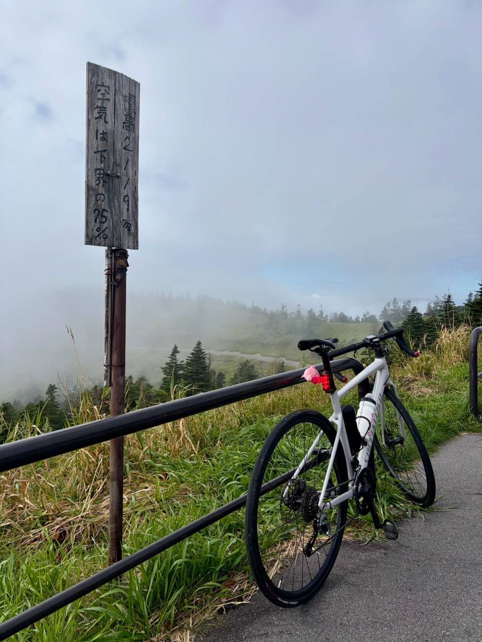 【 40代女子のロードバイク日記 41 】