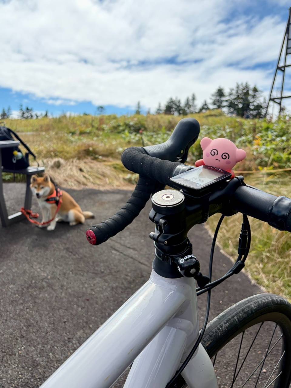 【 40代女子のロードバイク日記 41 】