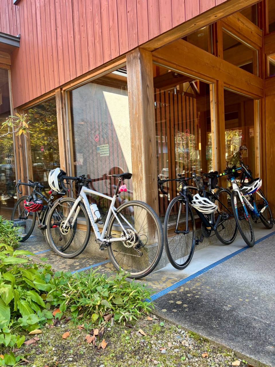 【40代女子のロードバイク日記43】
