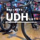 ✅最近よく耳にする『UDH』とは？🧐