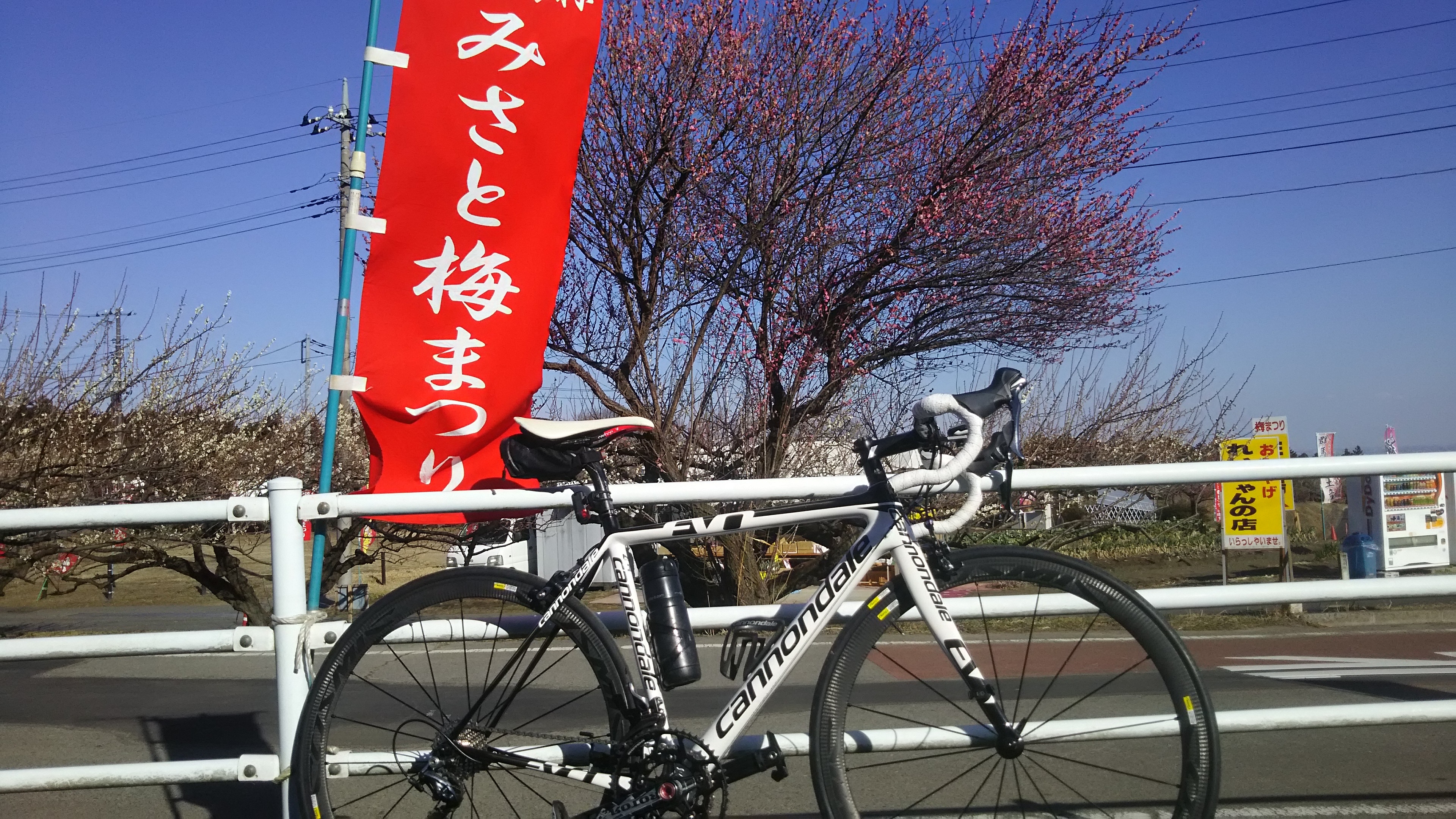 自転車 の 駅 はるな